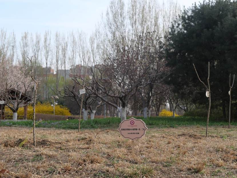 b46c09e2fd0d92cf37654e6002996a6 b46c09e2fd0d92cf37654e6002996a6